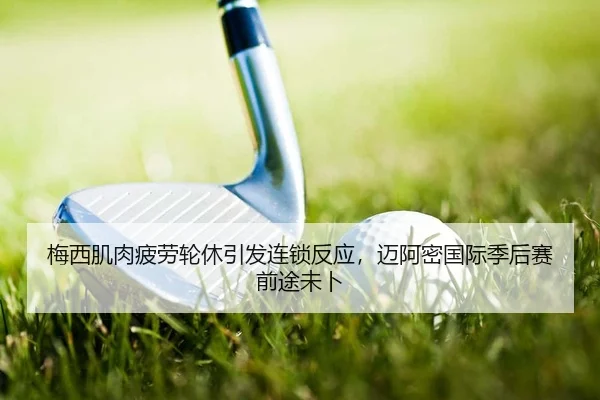 mei-xi-ji-rou-pi-lao-lun-xiu-yin-fa-lian-suo-fan-ying-mai-a-mi-guo-ji-ji-hou-sai-qian-tu-wei-bu-2-728.jpg